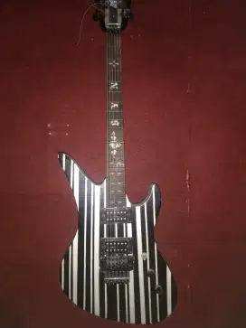 Gitar schecter custom