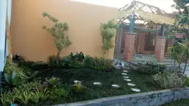 Tukang taman minimalis murah dan berkualitas