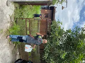 Tanah pekarangan dan Rumah Gebyok
