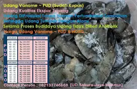 Jual Udang Vaname !