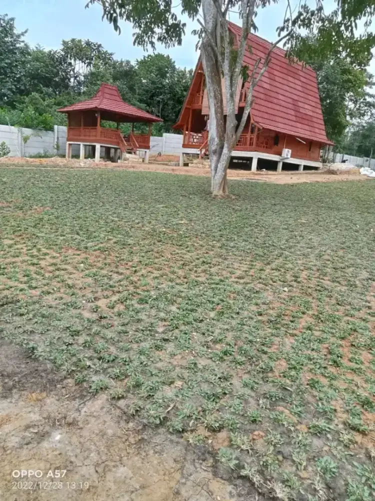 Menyediakan berbagai rumput