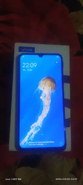 Di jual Handphone Vivo S1