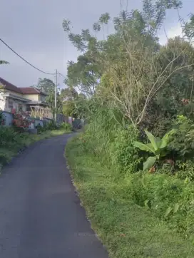 Tanah di Wanagiri Buleleng Bali dekat air terjun