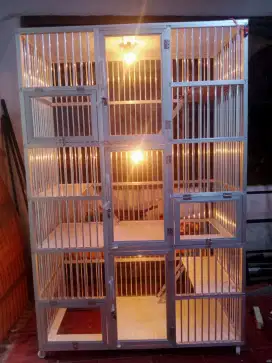 Kandang kucing cipete