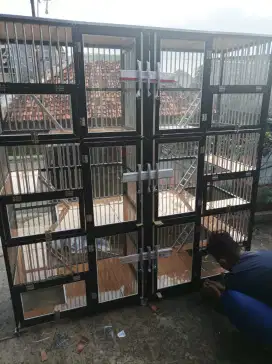 Kandang kucing Gandaria