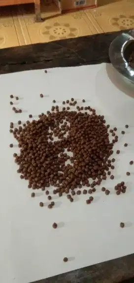 pakan ikan  ekofed 2  jual prr 1/2 kg