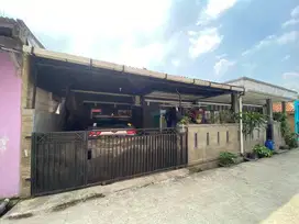Rukam Dekat Palem Semi Dekat Tol Karawaci
