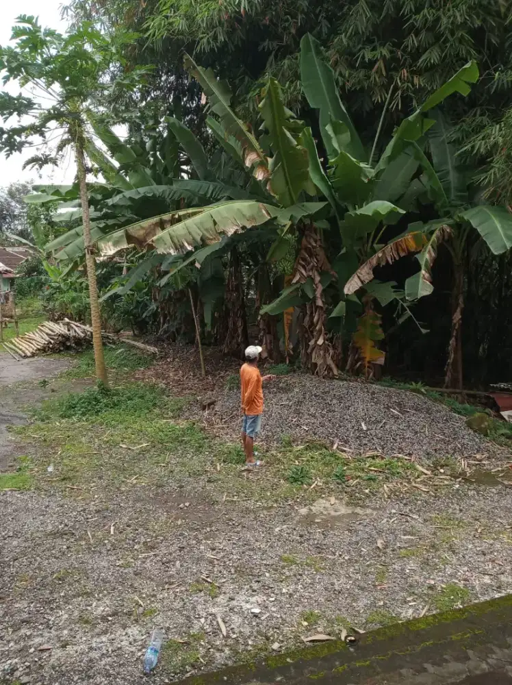 Dijual tanah pekarangan di Bletukan Mertoyudan Magelang