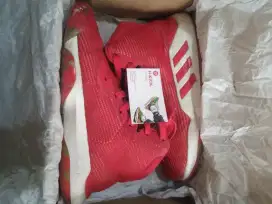Adidas pro bounce