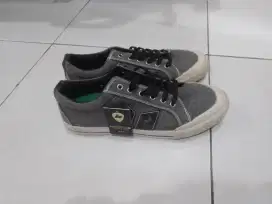 Macbeth Elliot Grey