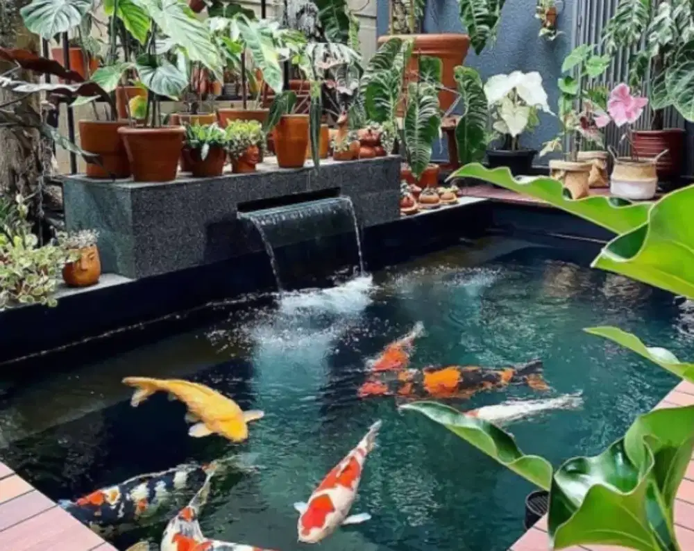 Kolam ikan minimalis