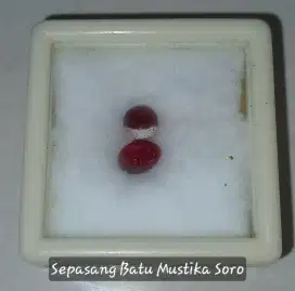 Sepasang Mustika Soro Merah (Sejenis Lipan)