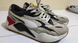 Puma Auf Allen Funf Kontinenten