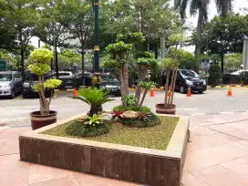 Taman minimalis