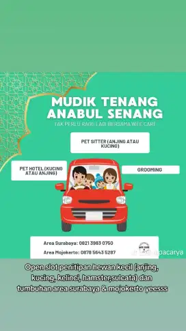 Penitipan Kucing Kesayangan