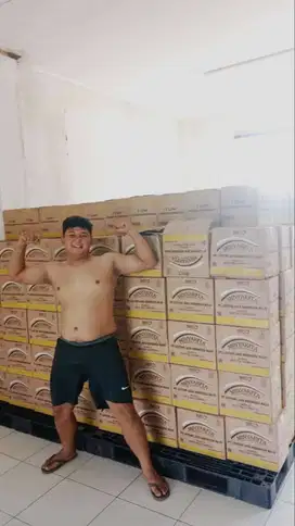Pallet plastik murah palet plastik