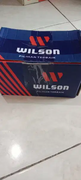 Dinabolt wilson