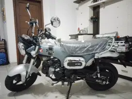 Honda dax st125