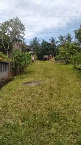Dijual Tanah Murah 1,65 Are Dekat Tol Gilimanuk Mengwi Tabanan Bali