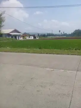 Sawah 1000 m2 Strategis Pinggir Jl. Raya Sagala herang Subang