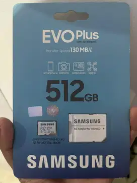 MEMORI SAMSUNG EVO PLUS 512GB 130MB