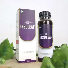 BIO INSULEAF - HERBAL ALAMI ATASI MASALAH DIABETES