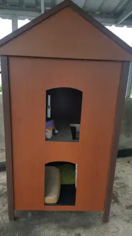 Kandang Anjing bentuk Rumah