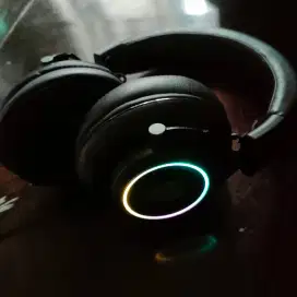 thunderVox hx 20