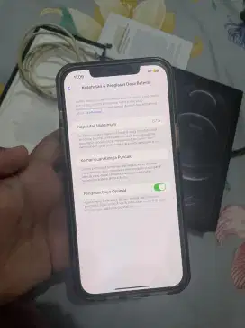 iPhone 12 pro max 256gb ibox, bisa tt hp motor