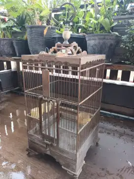 Sangkar burung jati u/ kemari & burung berukuran sedang