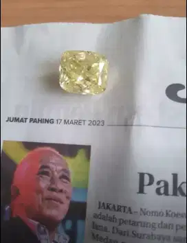 Berlian 50,11 carat's