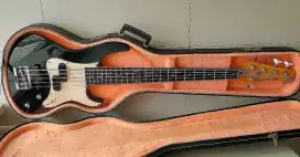 Yamaha Attitude 5 Strings Super Rare