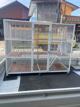 Kandang kucing mantul kali