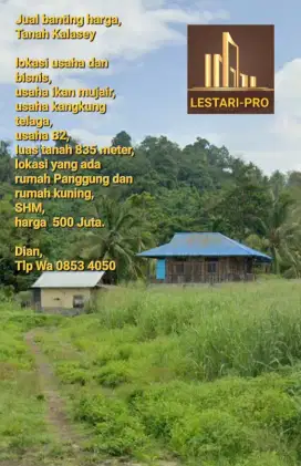 Jual Cepat & Murah Lokasi usaha Peternakan,ikan mujair,kangkung Ready