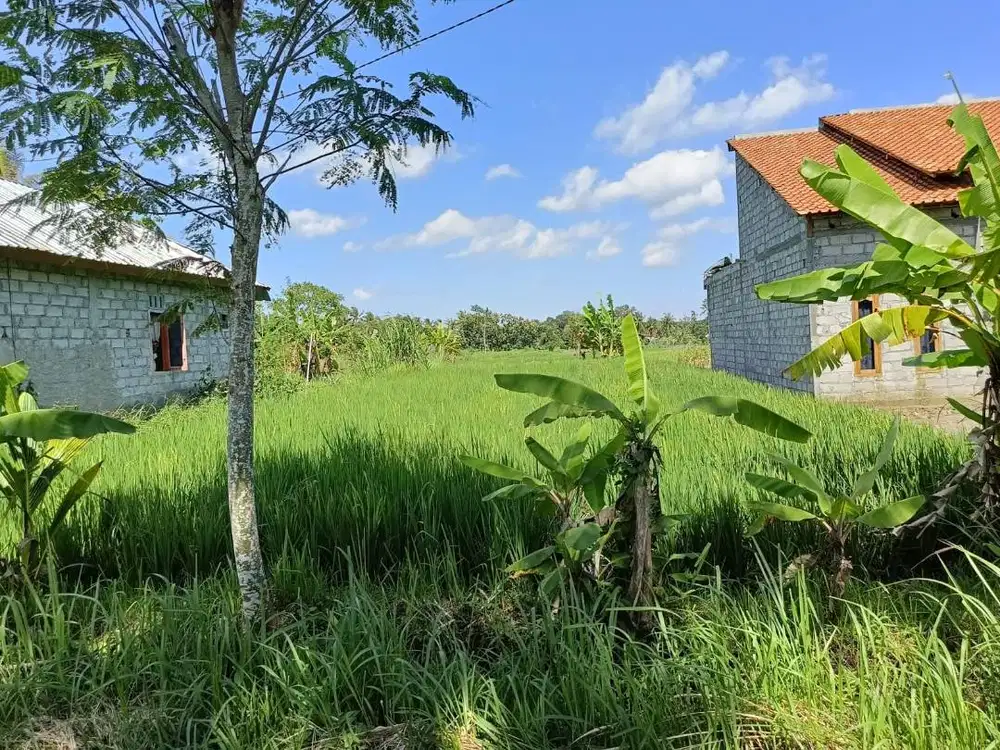 Sawah prospektif untuk villa, mangku jalan aspal, dekat Obelix Village