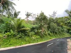 Dijual Tanah Pekarangan SHM di Samigaluh Kulonprogo