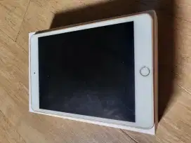 Ipad mini 4 128gb