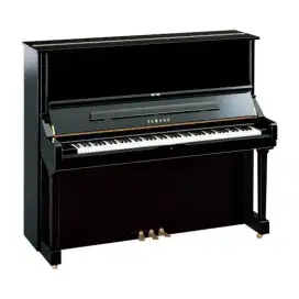 Terima Les Piano & Keyboard