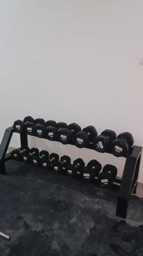 Dumble set plus rack komersial fitness import