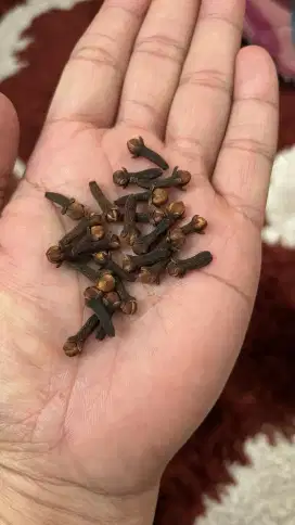 Cengkeh Kering Berkualitas