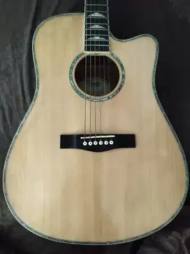 Gitar Akustik Elektrik Fender