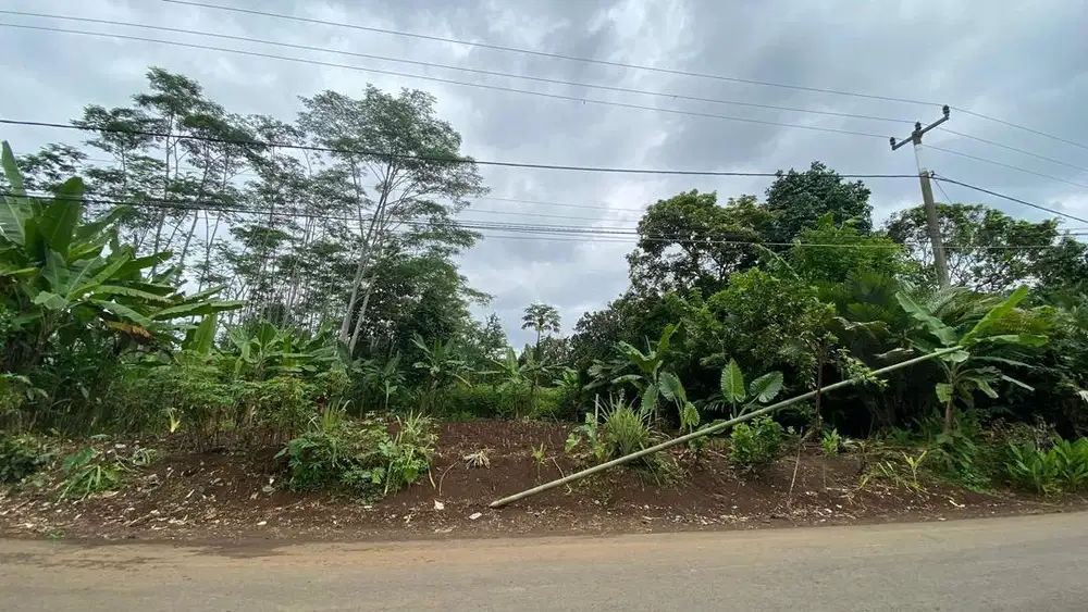 Dijual Tanah SHM Untuk Kebun/Pribadi/Bisnis