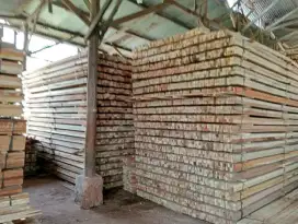 Kayu kaso 4x6x400
