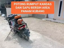 POTONG RUMPUT KANDAS