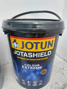 1 Pail Cat JOTUN JOTASHIELD