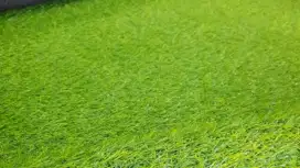 RUMPUT SINTETIS TIPE SWISS 2CM UKURAN 1x1