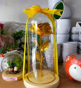Gift hadiah dome glass annivesary/ ultah / lamaran