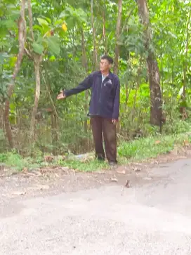 Tanah termurah posisi datar