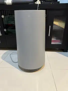 air purifier electrolux