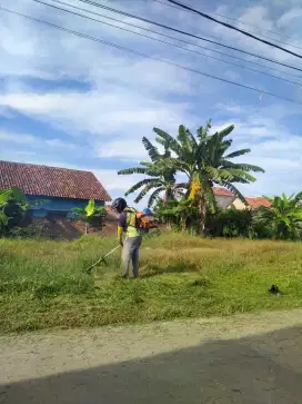 Jasa potong rumput halaman rumah, perkantoran,dll.